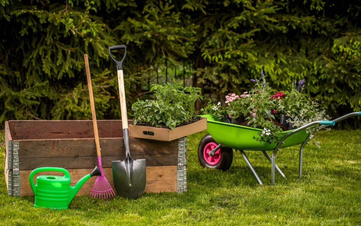 Comment débarrasser facilement son jardin ? Guebwiller